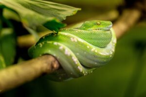 格安SIMのセキュリティは危険なのか？